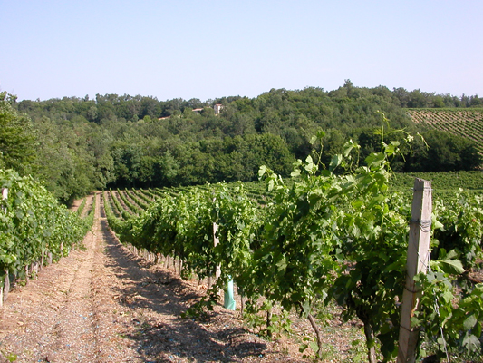 Promenade dans Baron