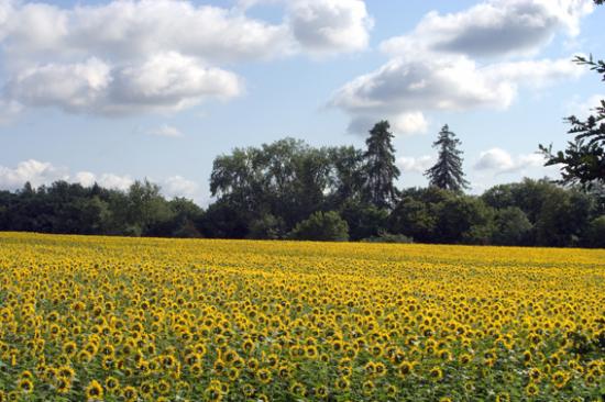 Promenade dans Baron