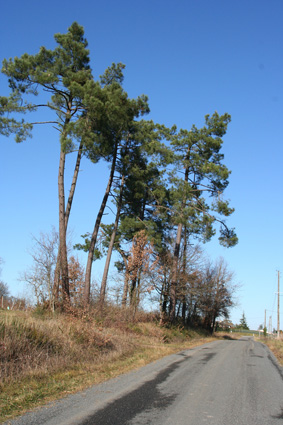 Promenade dans Baron