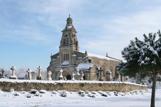 Baron sous la neige